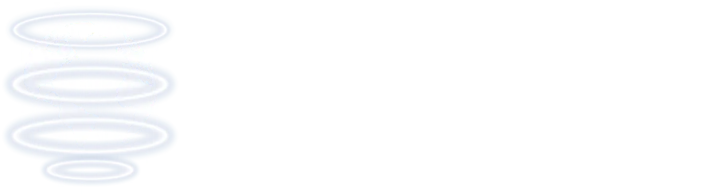 logo Triportation